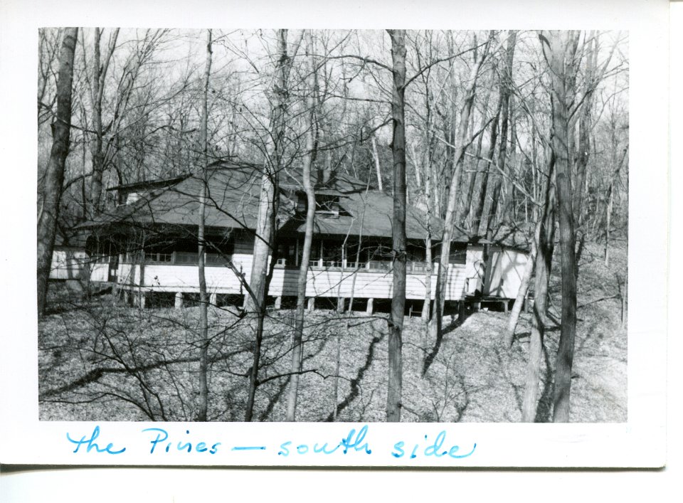 The Pines 1955 -1